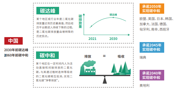 0e1e4800-212e-403e-8afc-63c4e3a87884
