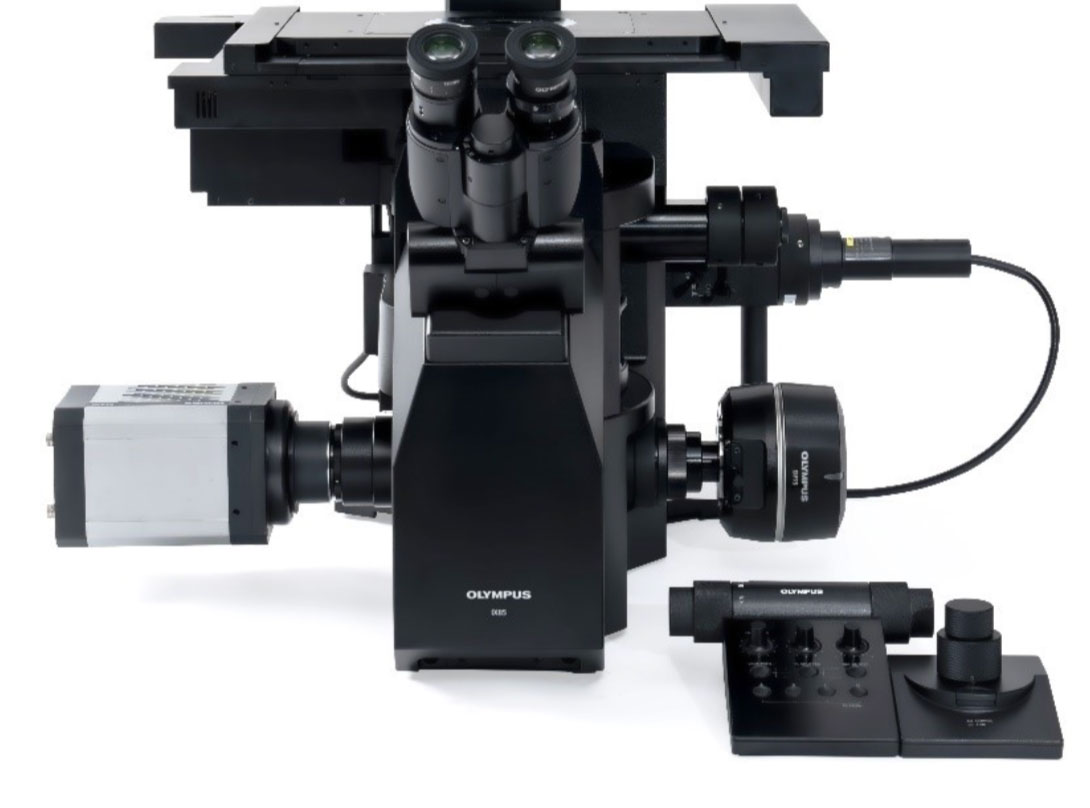pro-1 pro-1