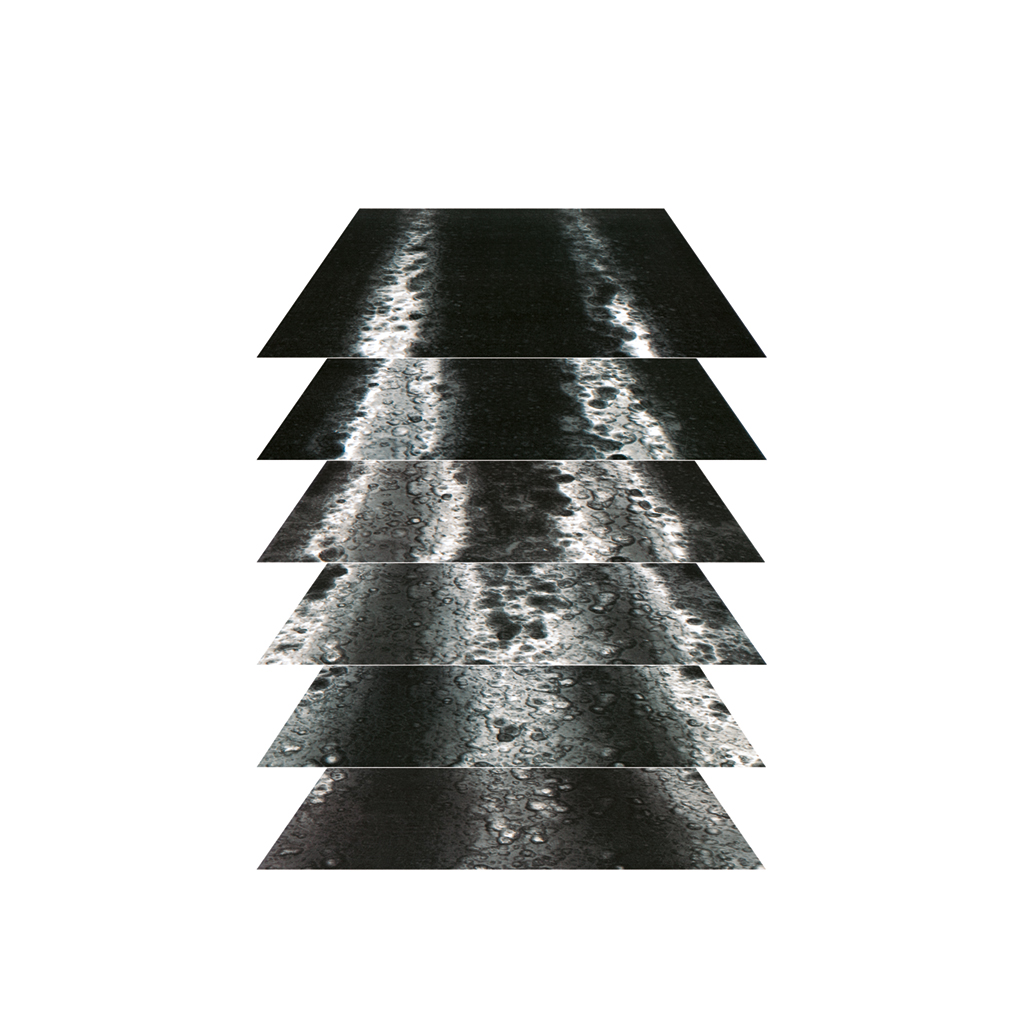confocal_optical-sections_lsm-700_mat