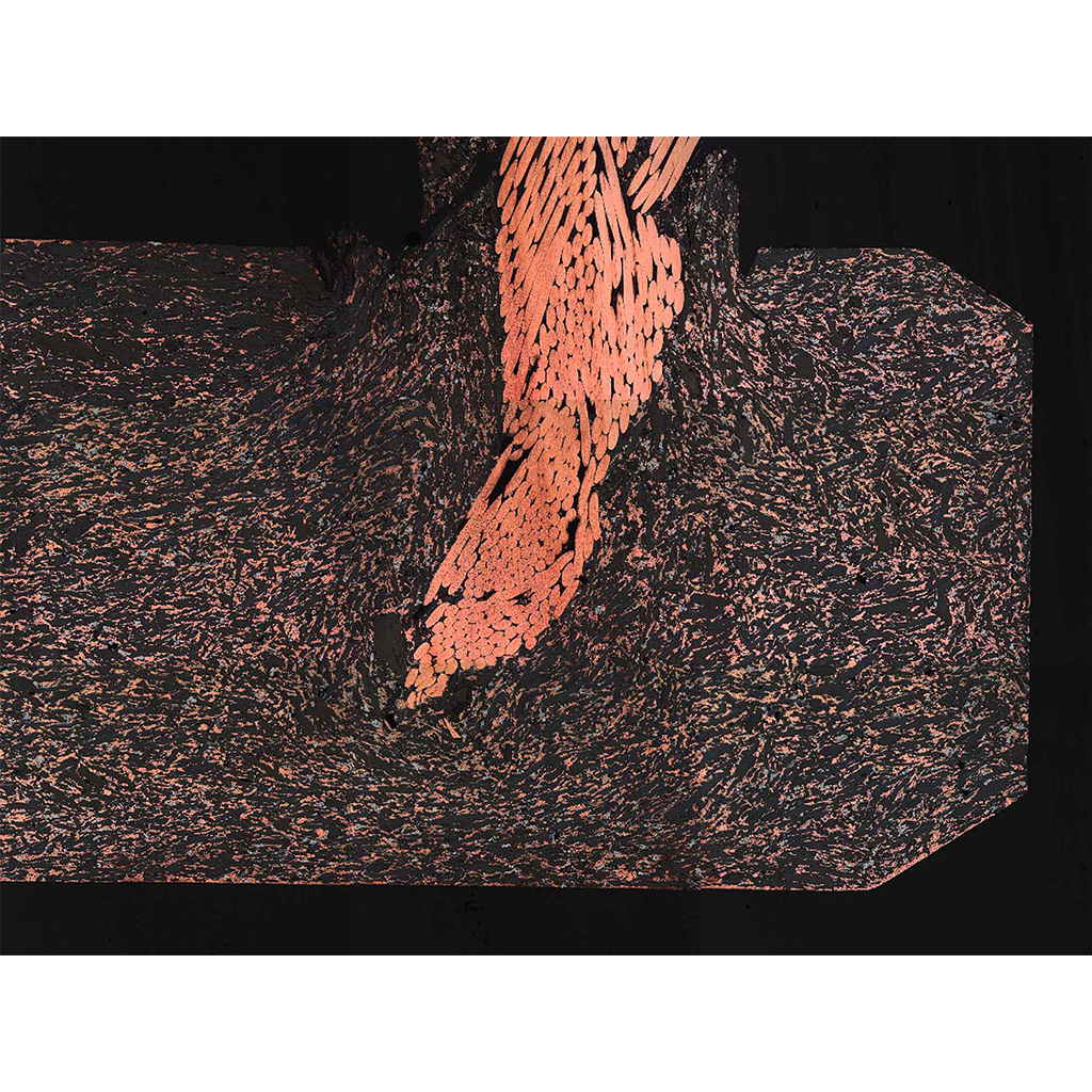 axio_zoom-v16_mat_coalbrush